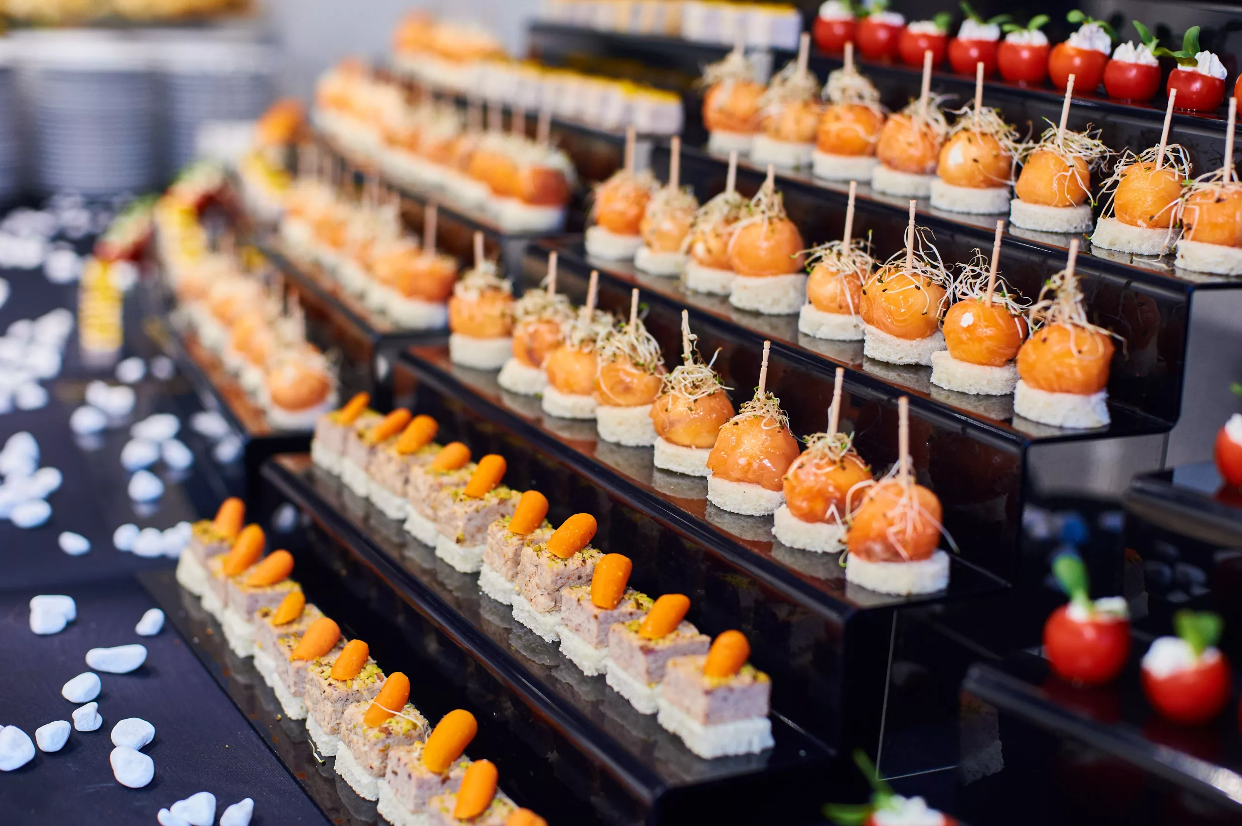 catering-service-outdoor-party-with-finger-food-2023-11-27-05-21-20-utc-min